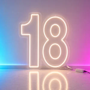 18 Neon LED 100x80 cm – Ledon Neon Flex Gdynia